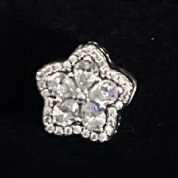 Pandora, sparkling snowflake, pave charm - Picture 5 of 11